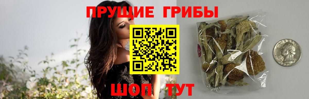 Городец  Галлюциногенные грибы ЛСД  Вход с VPN 